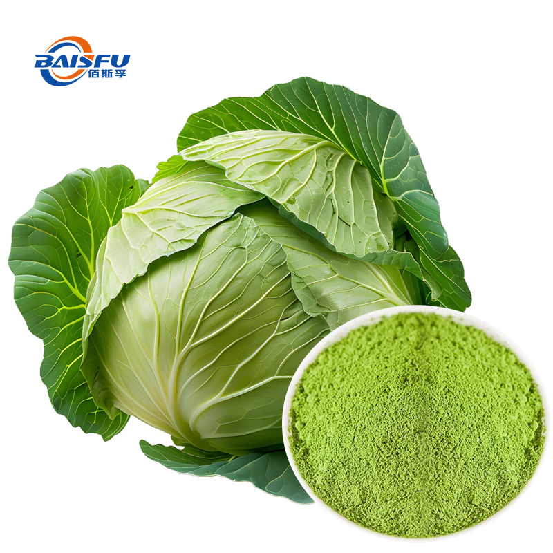 Polvo de repollo verde liofilizado orgánico natural puro, polvo de vegetal soluble en agua para alimentos y bebidas