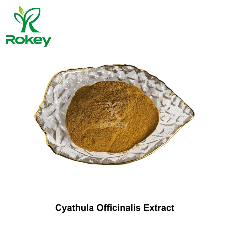 Extracto Herbal Premium para Bienestar y Vitalidad Extracto en Polvo de Cyathula Officinalis
