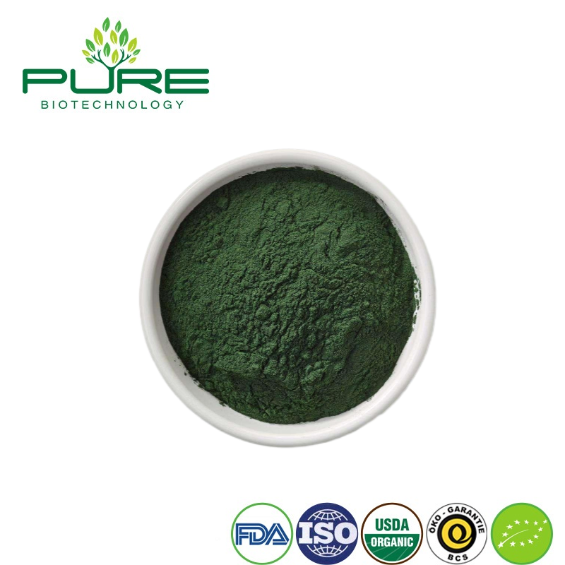 Polvo de Espirulina Orgánica - Superalimento para Aumentar la Energía y el Bienestar