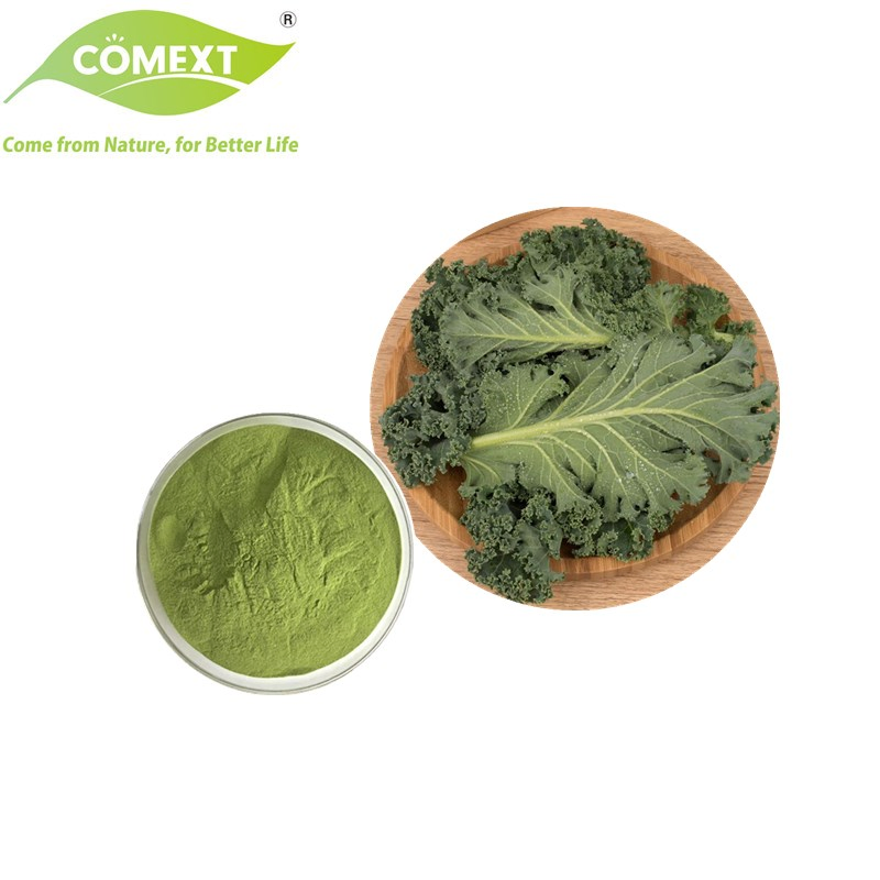 Comext Polvo de Col Verde Natural en Venta para Productos de Salud