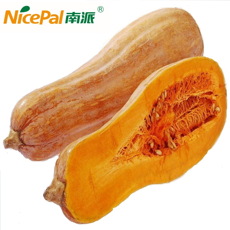 Puré Natural Verde Comida Buen Sabor Polvo de Jugo de Calabaza Vegetal