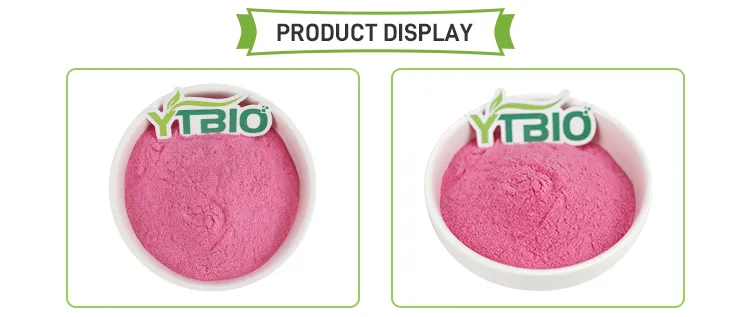 Polvo de jugo de fruta de cereza acerola liofilizado para suplementos dietéticos