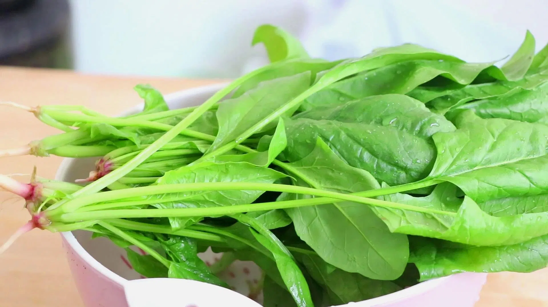Comida Saludable Cuidado de la Salud Extracto Herbal Polvo de Espinaca