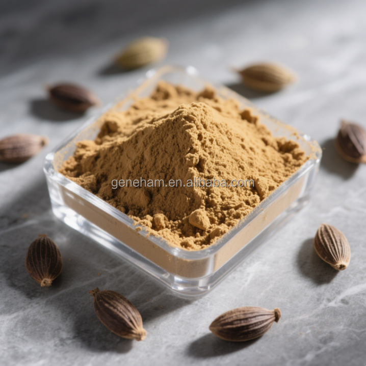 Extracto en polvo de semillas de fenogreco orgánico 40% Saponinas totales de grado alimenticio a base de hierbas 1kg Bolsa disponible