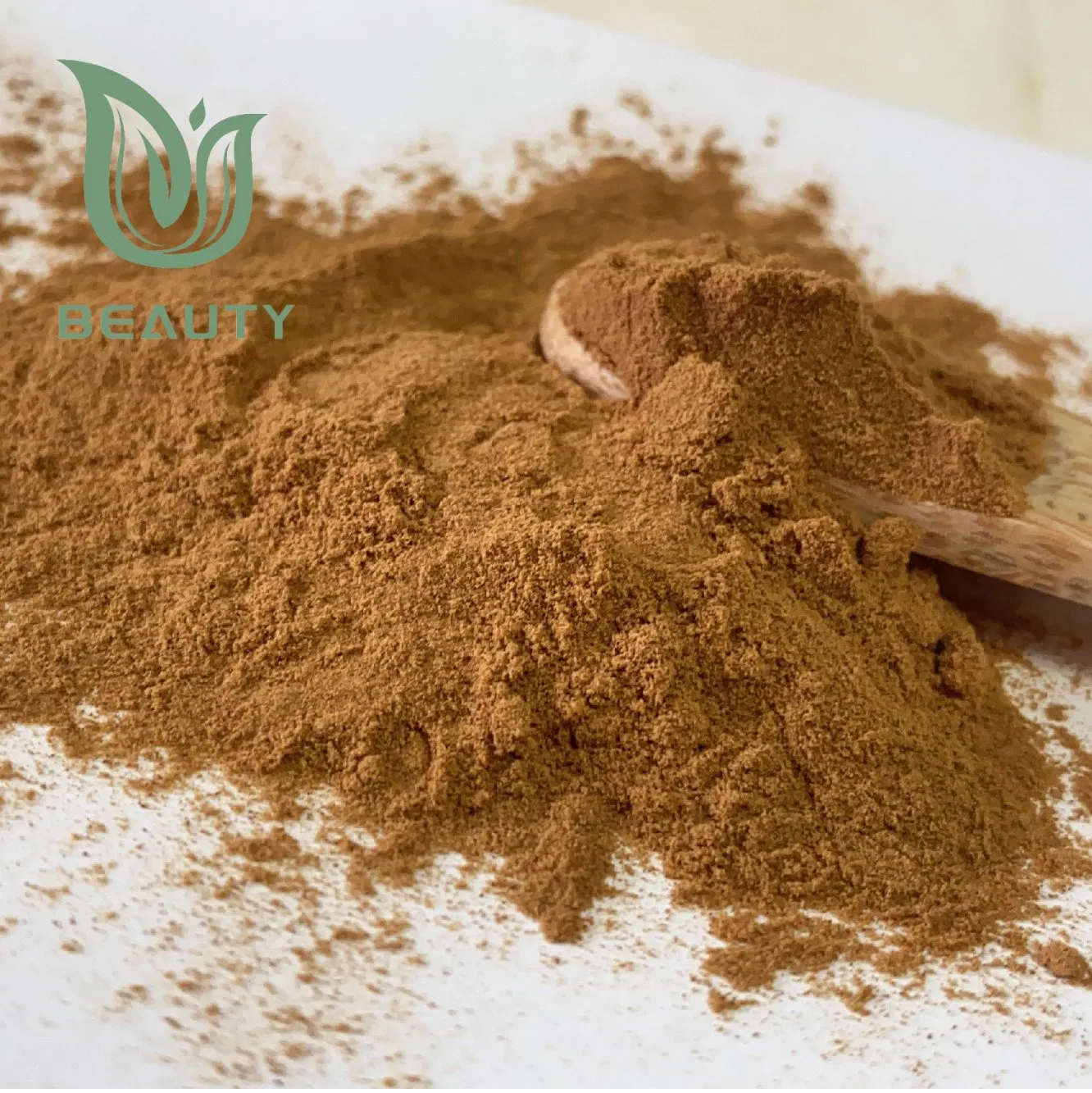 Extracto en polvo de champiñón blanco premium para beneficios para la salud