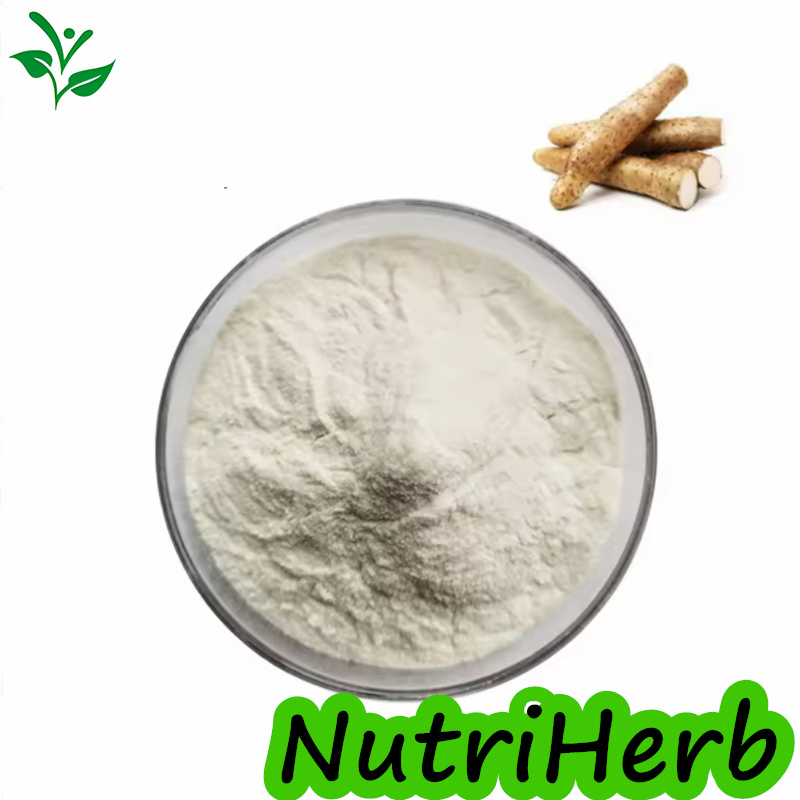 Suplementos de atención médica Extracto Natural de Yam Rizoma Salvaje 98% diosgenina Polvo