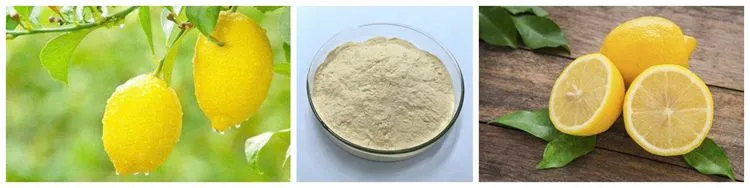 Polvo concentrado de jugo de limón orgánico liofilizado de grado alimenticio