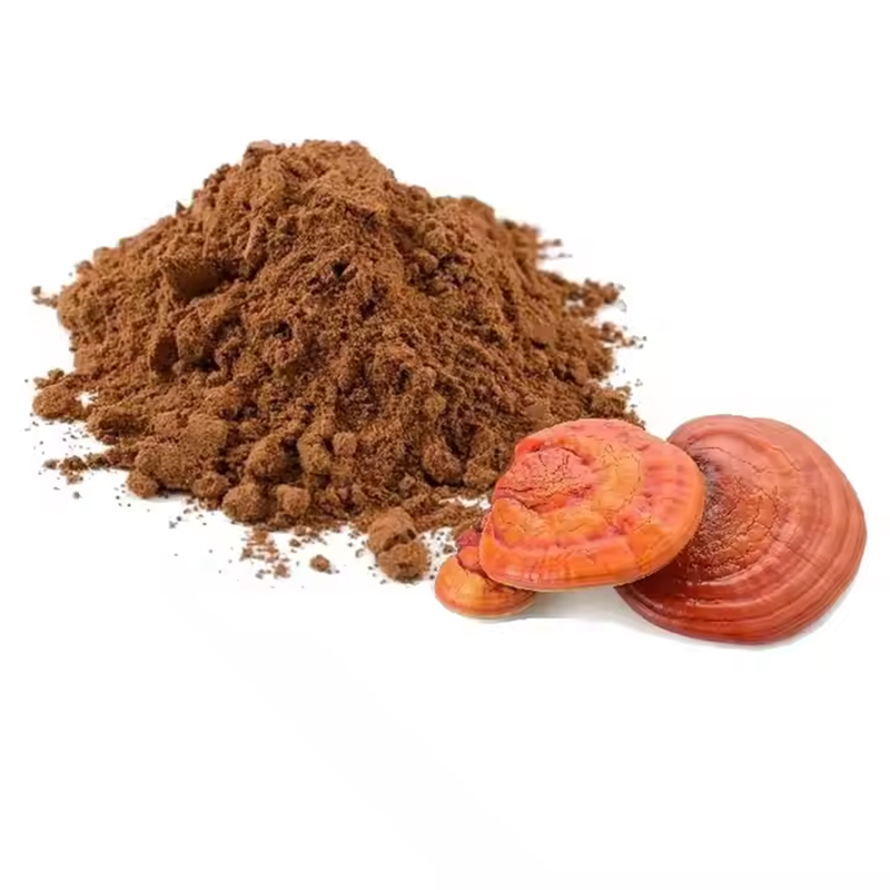 Venta al por mayor de alta calidad 10: 1 polvo de extracto de hongo reishi orgánico