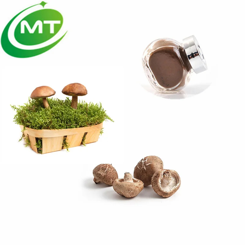 Polvo de champiñón superalimento orgánico de alta calidad extracto de champiñón shiitake