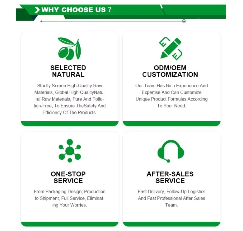 Suplemento Alimenticio de Ingrediente Vegetal Natural en Polvo Verde Puro Materia Prima OEM/ODM Polvo de Brócoli