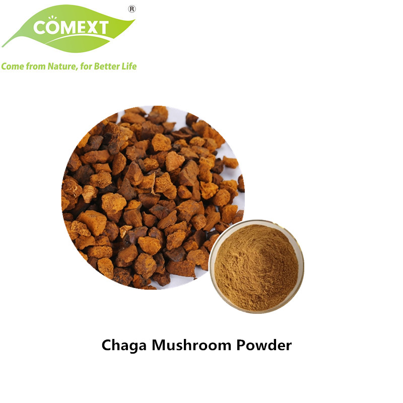 Comext 100% Puro Orgánico 10: 1 Extracto en Polvo de Hongo Chaga