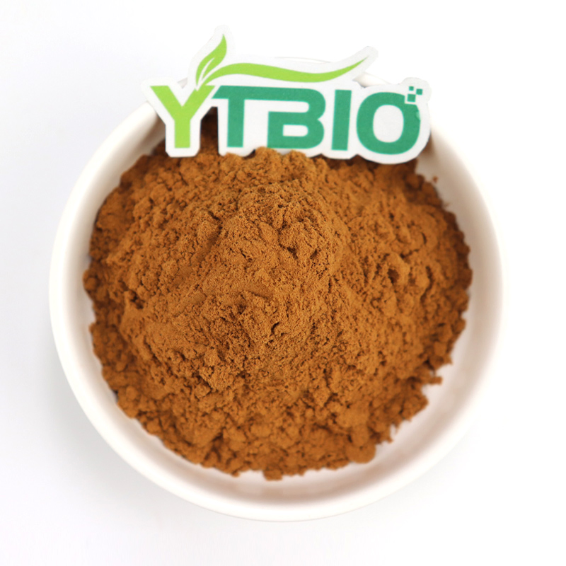Polvo de hongo reishi de alta calidad extracto de Ganoderma lucidum para el cuidado de la salud