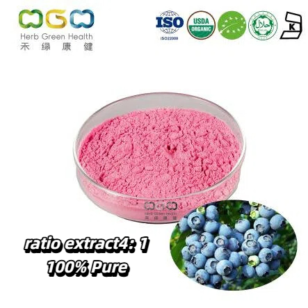 4: 1 Polvo de Arándano Orgánico 100% Polvo de Bebida Pura de Fruta Deshidratada Orgánica