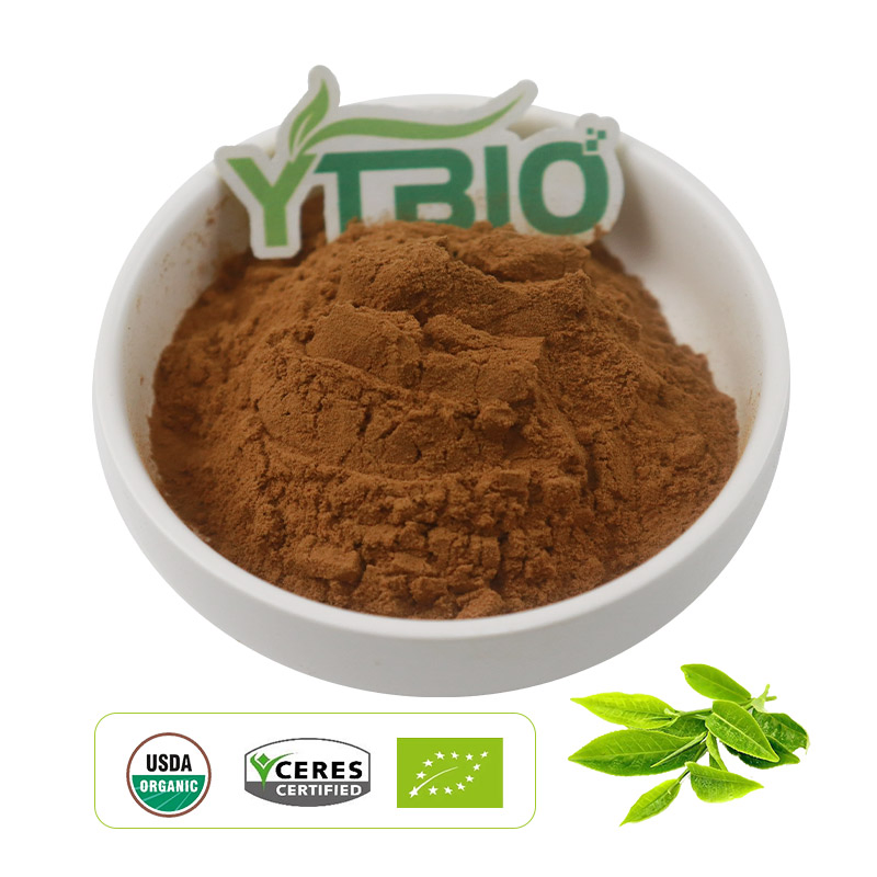 Suministrar extracto de té verde orgánico precio extracto de té verde salud alta calidad
