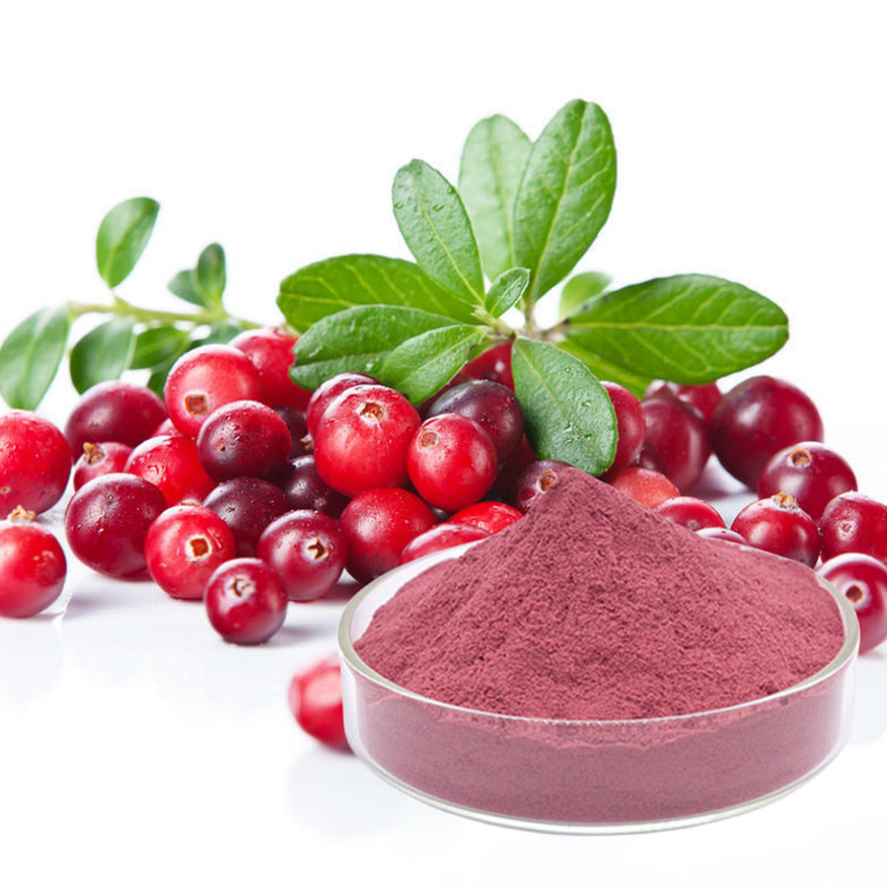 Polvo de Arándano Natural - Superalimento Rico en Antioxidantes para la Salud