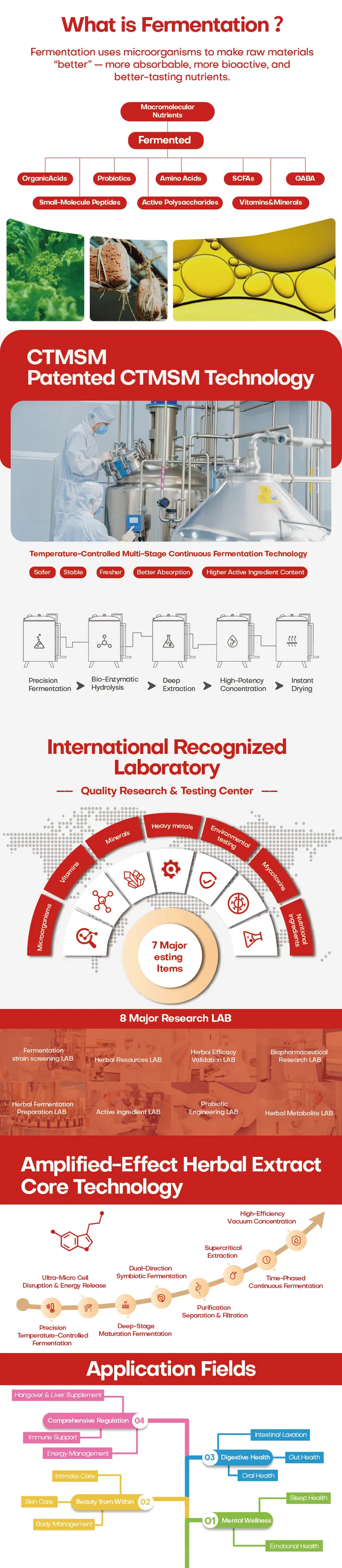 Diagrama de flujo del fabricante de enzimas