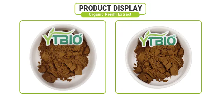 Detalle del proceso extracto de Ganoderma lucidum