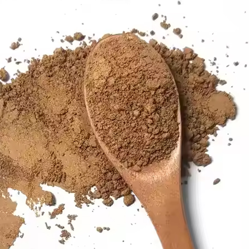 Venta al por mayor de alta calidad 10: 1 polvo de extracto de hongo reishi orgánico