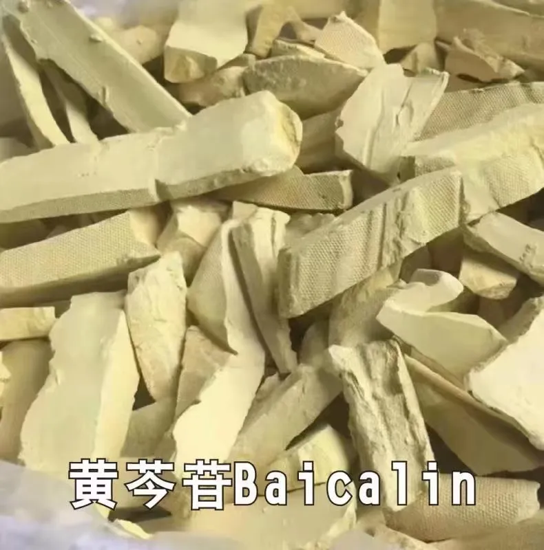 Extracto de Scutellaria Baicalensis (85% Baicalina) - Polvo Herbal Natural para Venta al por Mayor