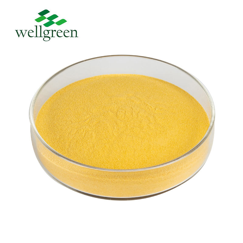 Polvo de mango rico en vitamina A para bocadillos saludables y suplementos dietéticos con antioxidantes