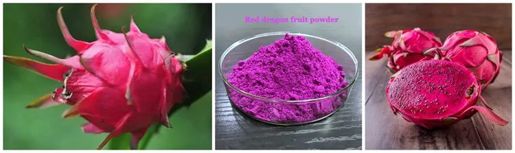 Extracto de Pitaya Rosa/Rojo polvo de la fruta de dragón liofilizado