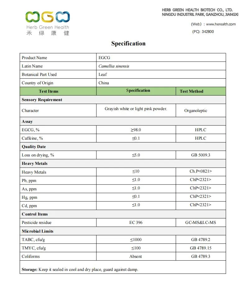 Polvo de EGCG 98% de hoja de té verde Camellia Sinensis extracto herbal Caffeine<0.1%