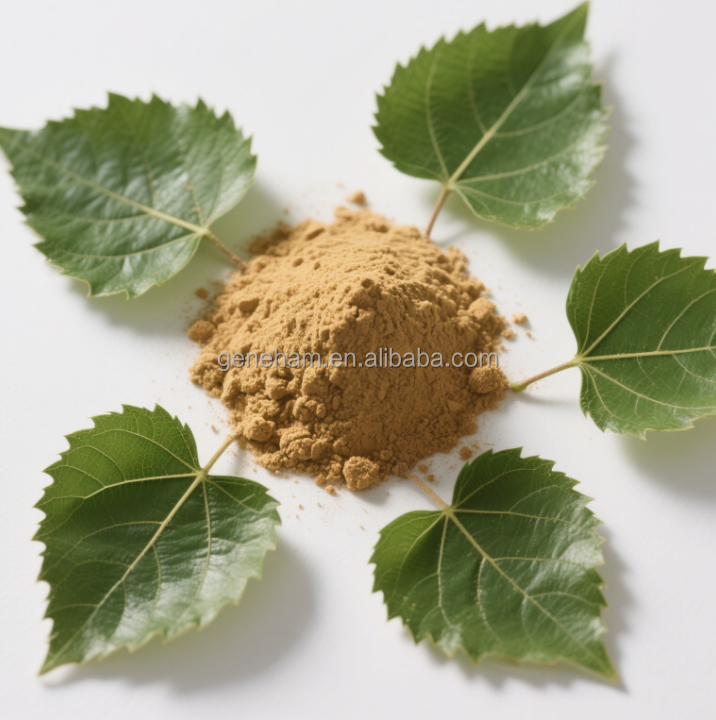 Dnj 8% Extracto en polvo de hoja de morera de grado alimenticio certificado halal suplemento verde