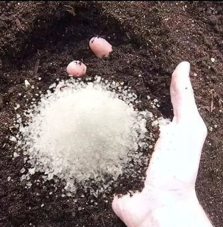 Las verduras y frutas se tratan con un polvo de resina hidrogel transparente, un polímero altamente absorbente compuesto de poliacrilato de potasio