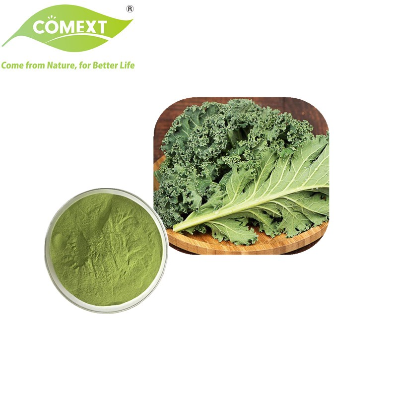 Comext Polvo de Col Verde Natural en Venta para Productos de Salud