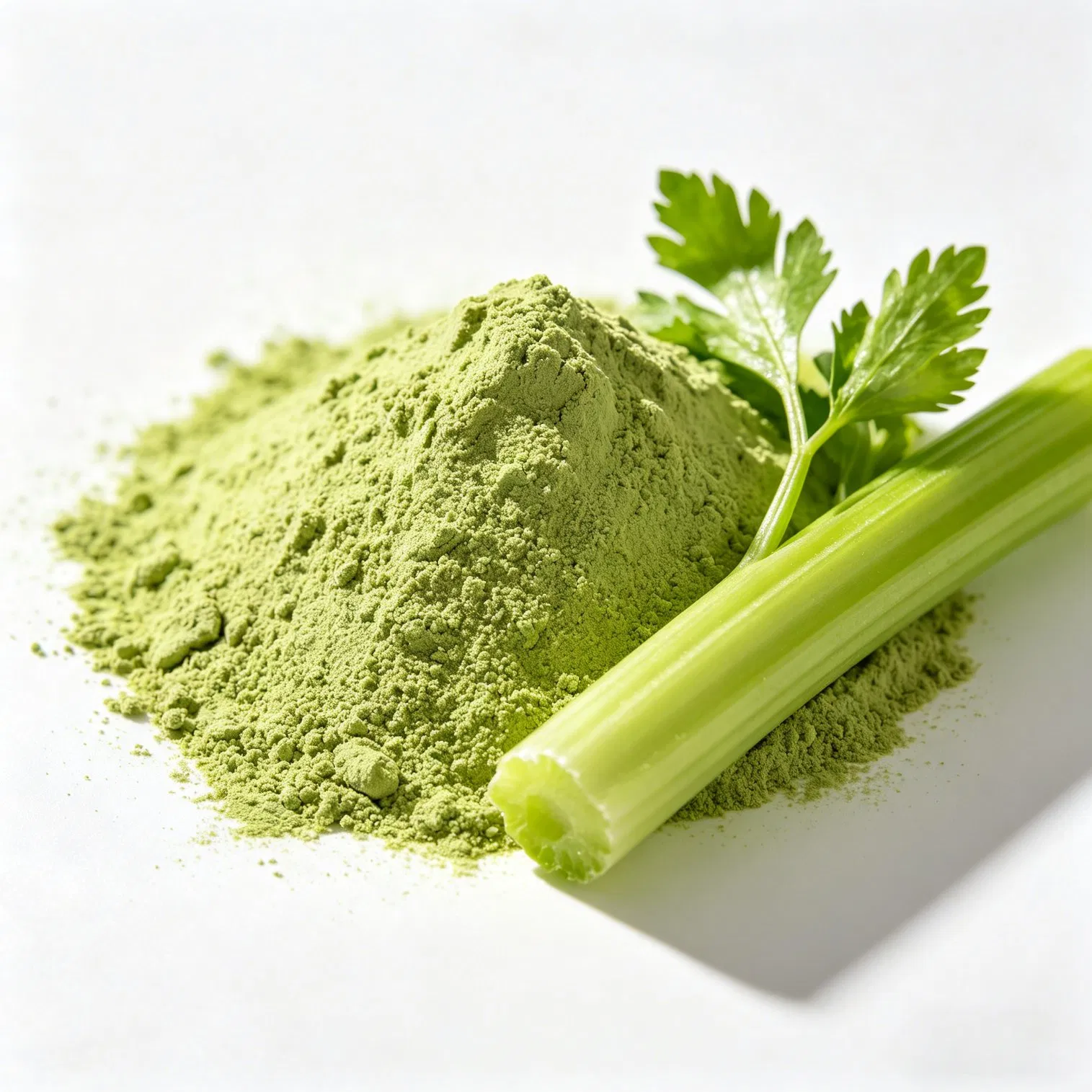 Extracto de hojas secas de verduras frescas, polvo de apio verde de China