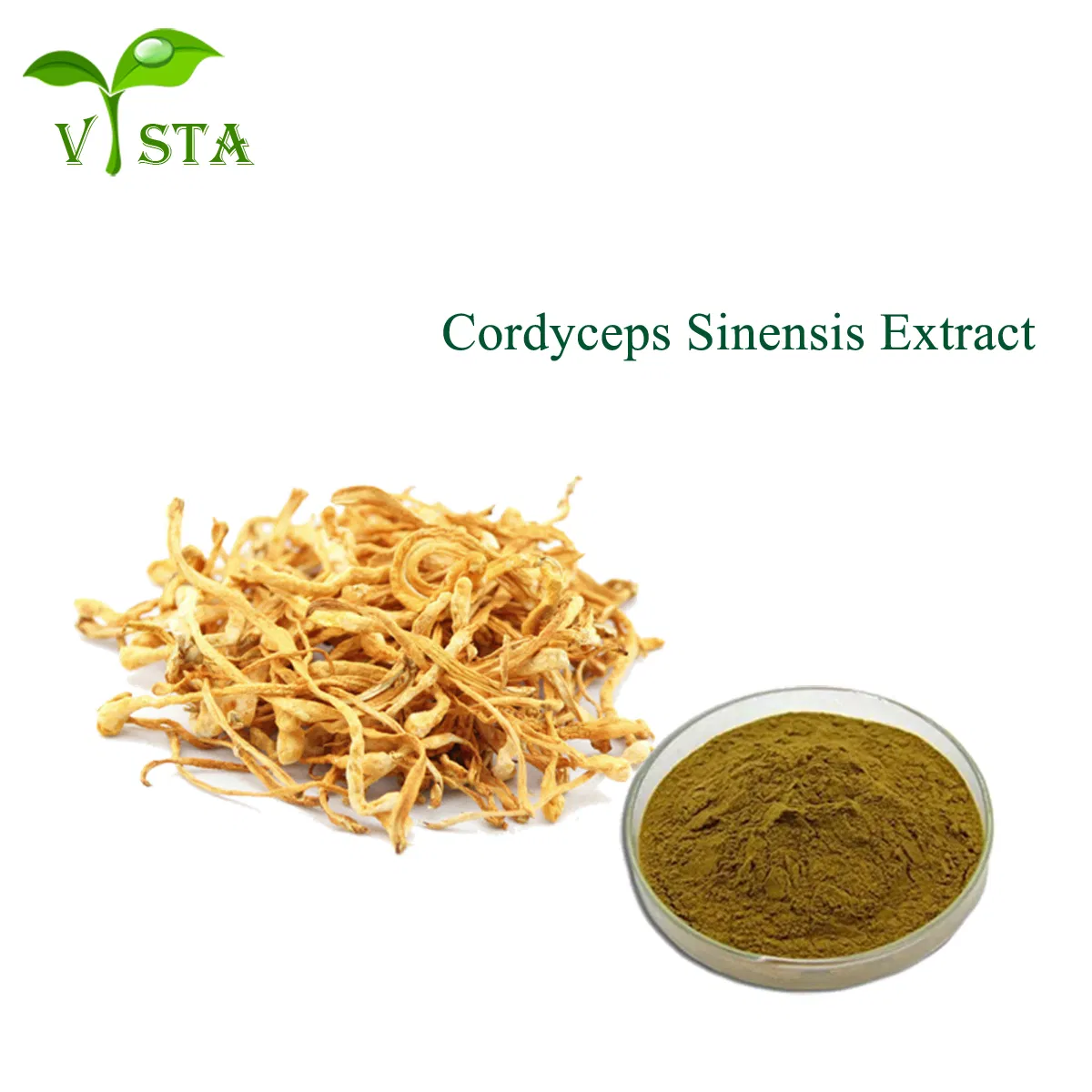 Extracto de Cordyceps Militaris Extracto de alta calidad en polvo de Cordyceps Extracto natural en polvo de hongo Cordyceps Sinensis