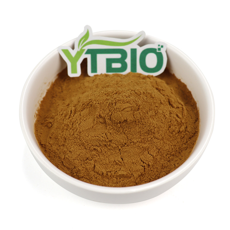 Extracto de té verde orgánico de alta pureza, extracto de hoja de té herbal de grado alimenticio