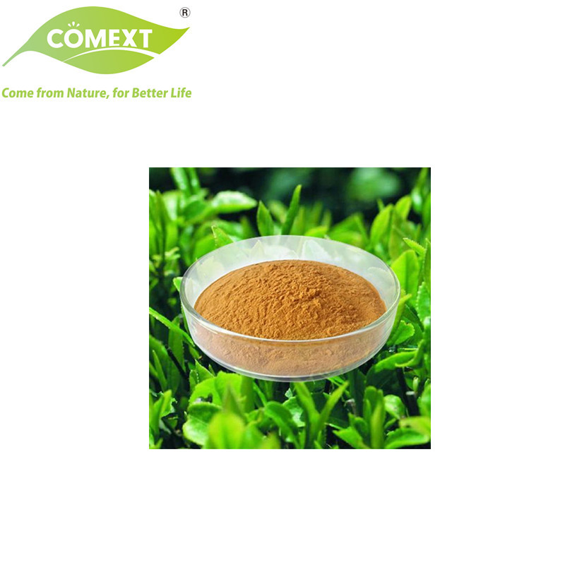 Comext Fabricante Precio Bajo Muestra Gratis Polvo de Té Polvo de Hoja de Té Polifenoles de Té EGCG Extracto de Hoja de Té Verde para Pérdida de Peso Cosméticos Aditivos para Piensos