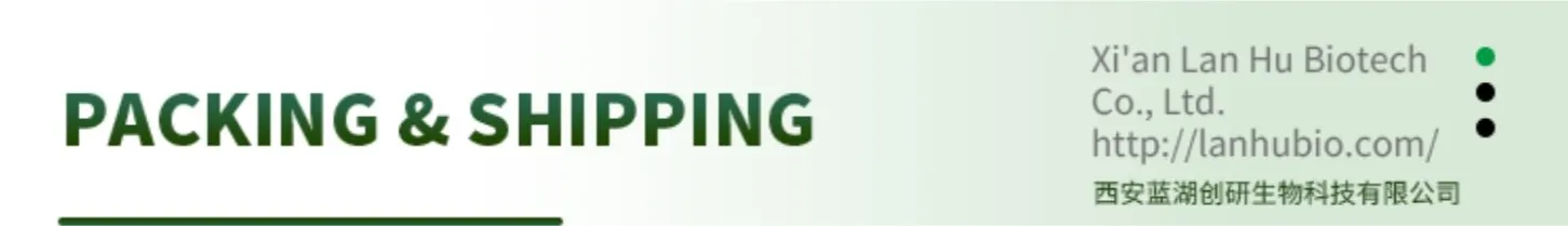 Línea de producción