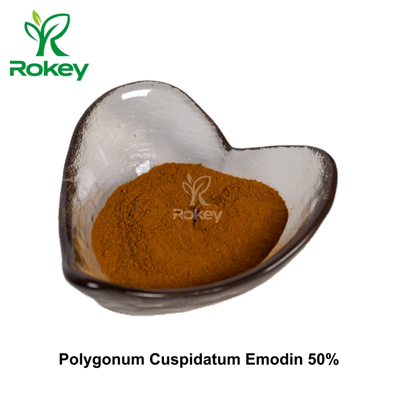 Extracto Natural de Alta Pureza para el Apoyo al Bienestar, 50% Poligonum Cuspidatum Polvo de Emodina