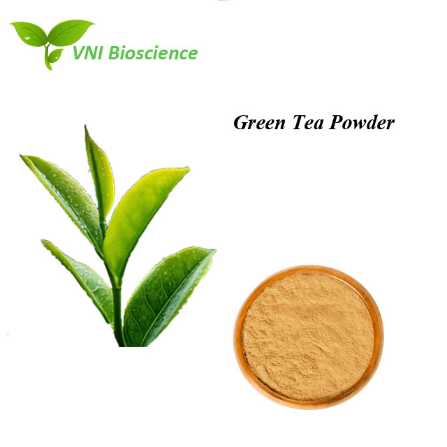 Certificado Halal Kosher 100% Polvo Natural de EGCG 30% Extracto de Té Verde de Polifenoles