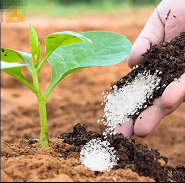 Las verduras y frutas se tratan con un polvo de resina hidrogel transparente, un polímero altamente absorbente compuesto de poliacrilato de potasio