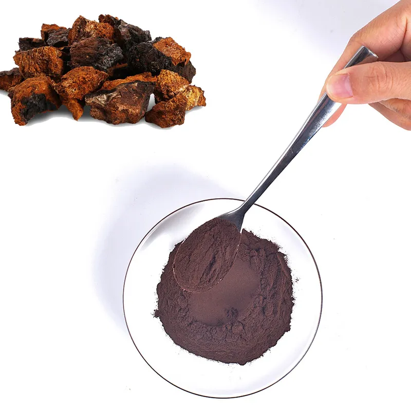 Extracto en polvo de hongo Chaga