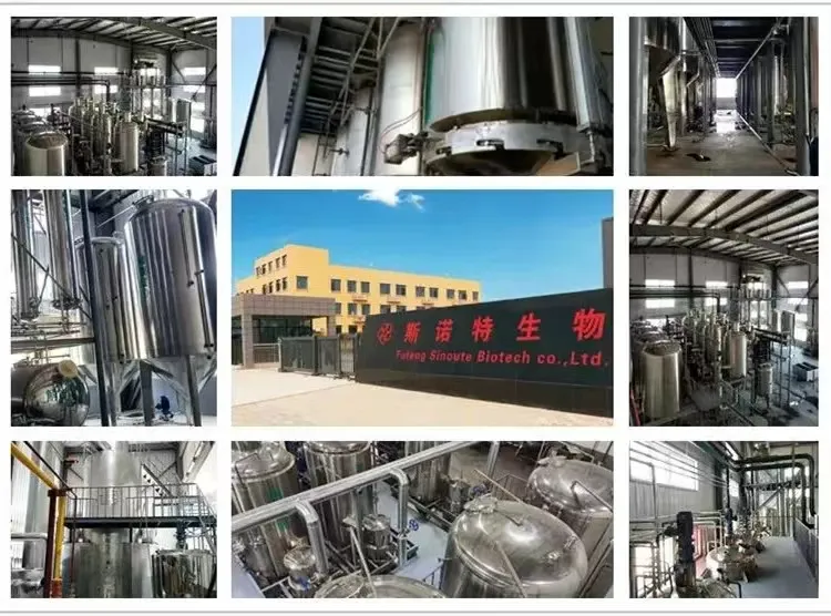 Taller de producción de extracto de ñame chino
