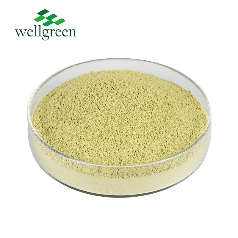 Polvo de repollo verde orgánico natural en polvo de grado alimenticio