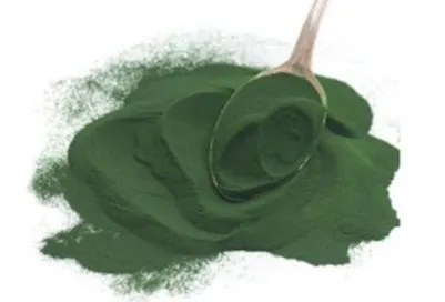 Polvo de superalimento de espirulina y chlorella orgánica para el bienestar