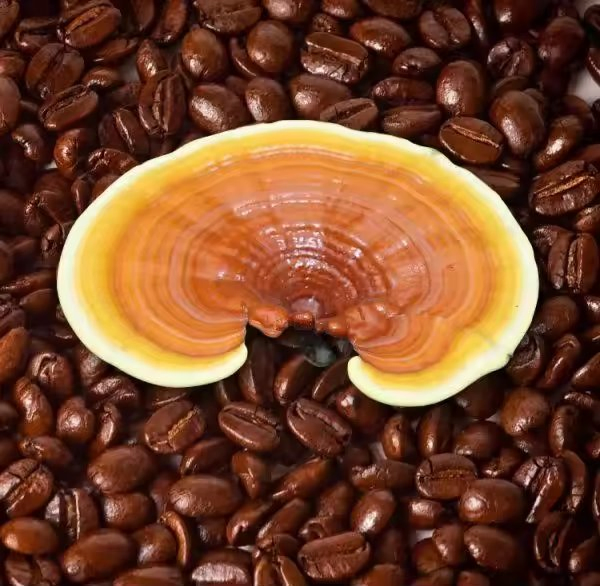 Suministro de fábrica OEM Productos de salud Mezcla de champiñones 100% Extracto de champiñón Reishi orgánico Polvo de Ganoderma Lucidum natural