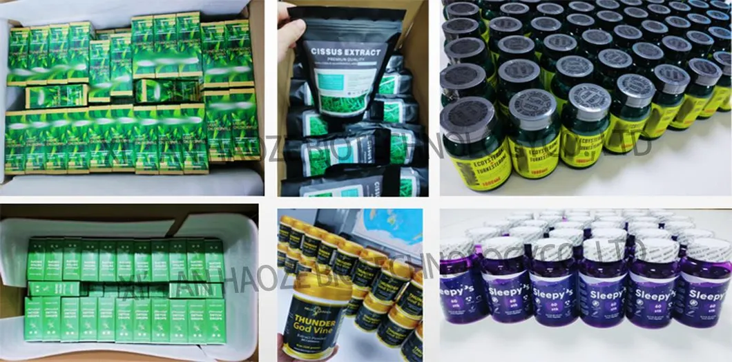 Servicio OEM para Polvo de Kale Orgánico Natural Puro Verde en Polvo de Verduras