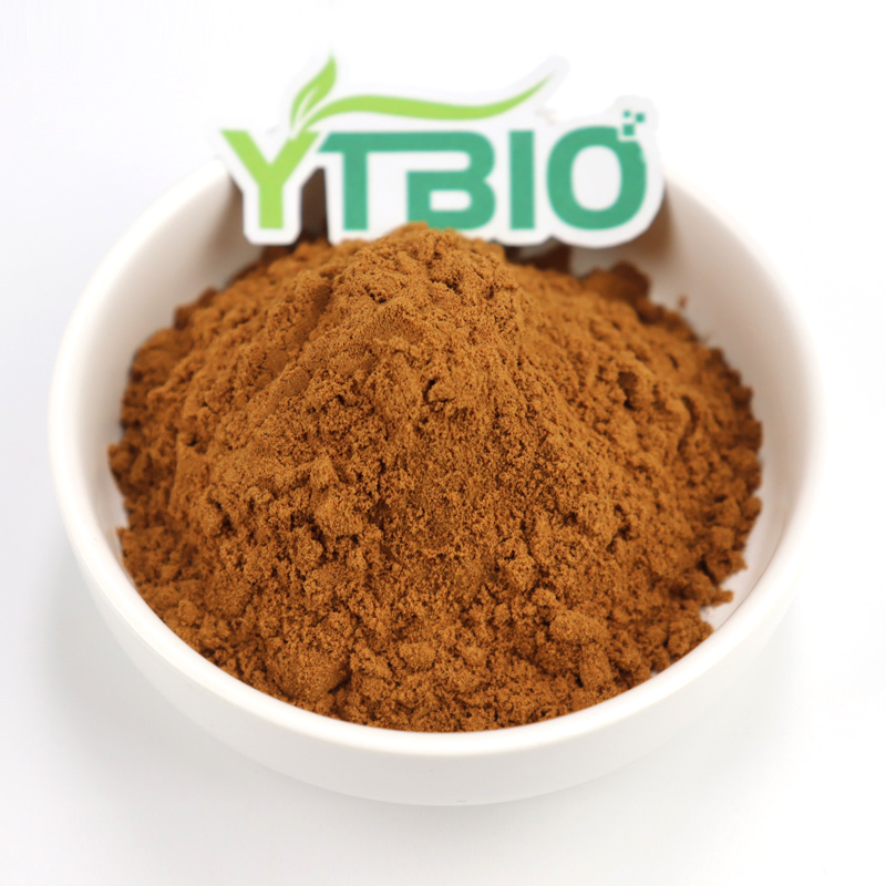 Polvo de hongo reishi de alta calidad extracto de Ganoderma lucidum para el cuidado de la salud