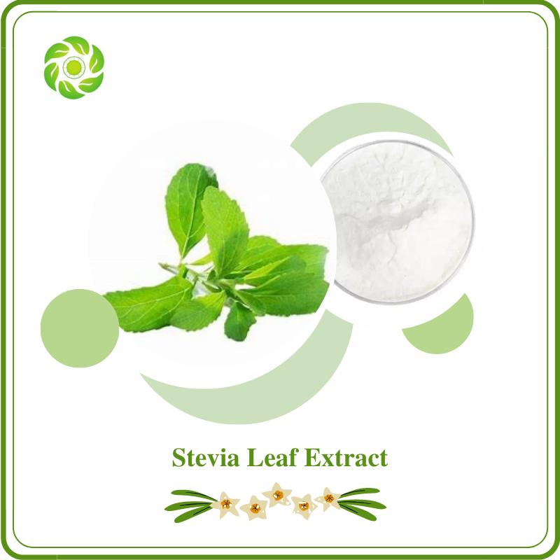 Azúcar en polvo orgánico verde de bienestar mundial en grandes cantidades 80% Glicosidos de esteviol Extracto de hoja de stevia Extracto de stevia