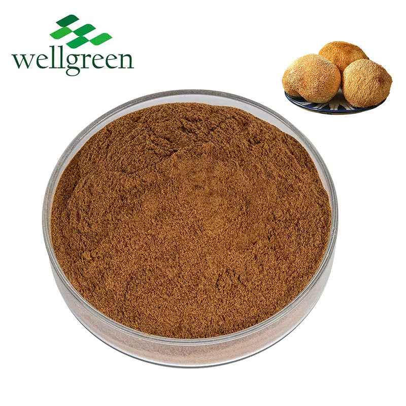 Wellgreen 30%50% Extracto de hongo Hericium Erinaceus en polvo de melena de león