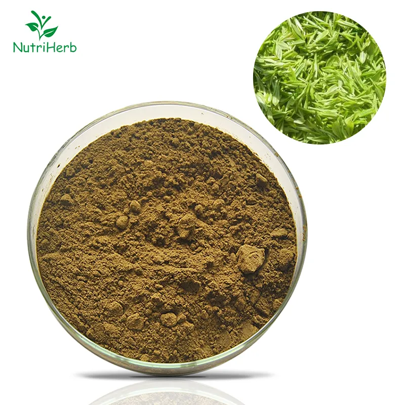 Extracto de hoja de té verde en polvo de polifenoles de té de grado natural 30%