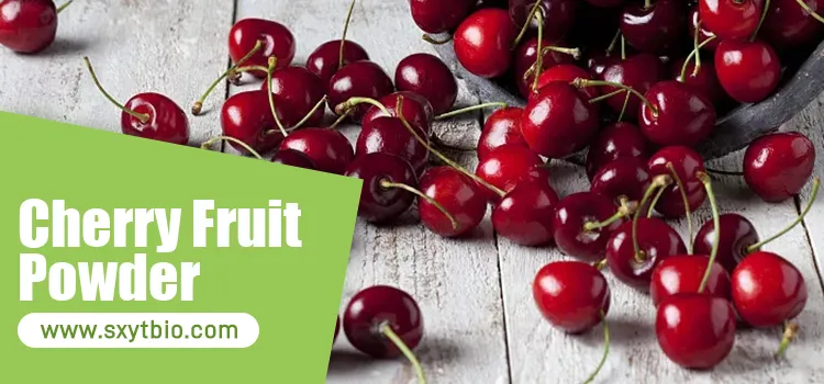 Polvo de jugo de fruta de cereza acerola liofilizado para suplementos dietéticos