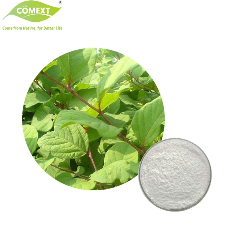 Muestra gratuita de extracto de hierbas extracto de polygonum cuspidatum 98% polvo de resveratrol para suplemento