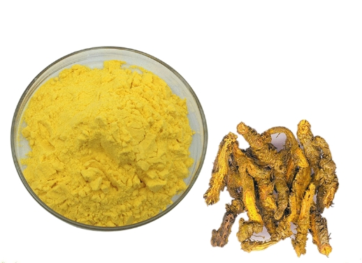 Extracto de planta suplemento de hierbas Berberina HCl ingrediente 97% 98% polvo de clorhidrato de berberina
